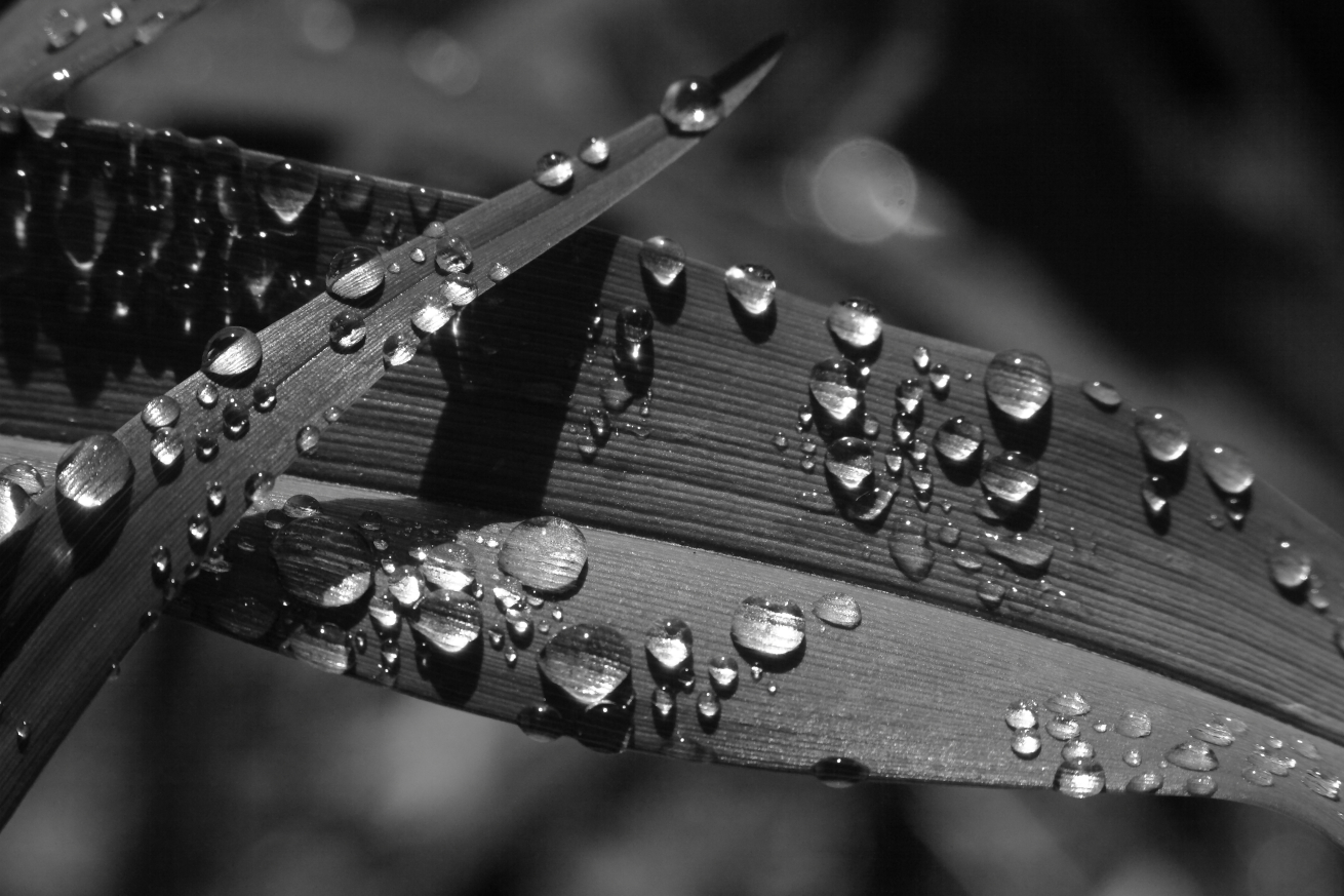 2015 05 07 HTP 000049662ebw
